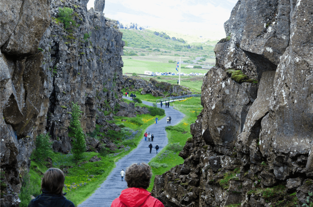 Golden Circle CA CarBuddy 3