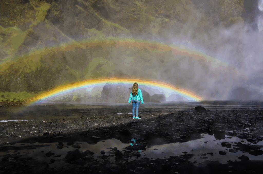 South Coast Private Tour Skogafoss Waterfall