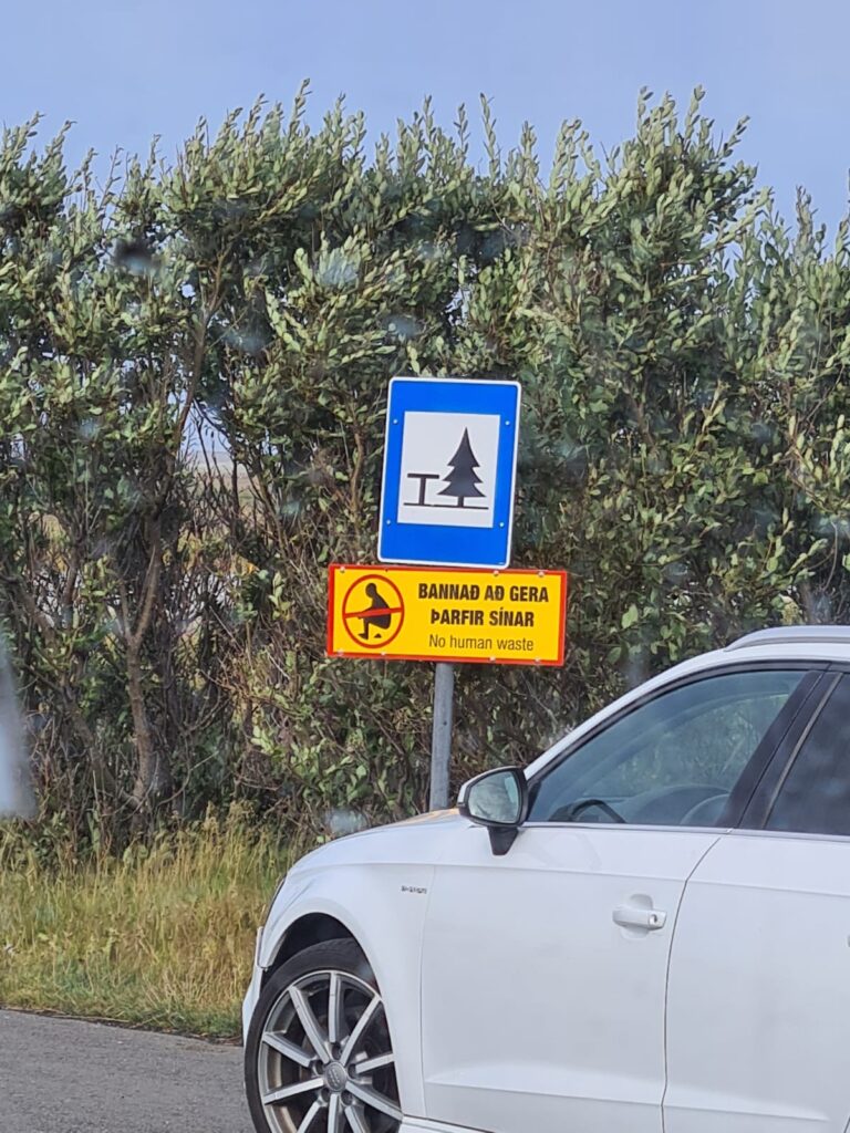 Zdjecie WhatsApp 2025 12 16 o 17.56.34 cf5eb746